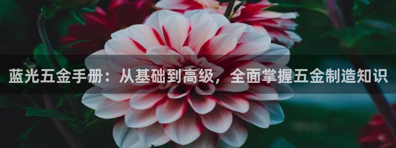 天狮会娱乐会所