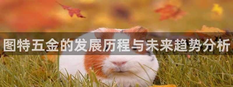 天狮娱乐 b内部61166