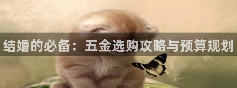 天狮娱乐来0 1311