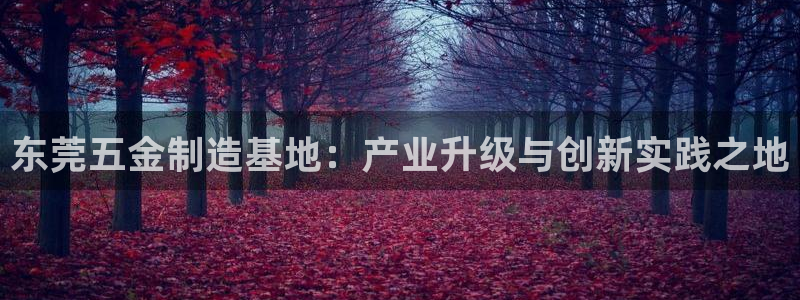 天狮学院娱乐设施