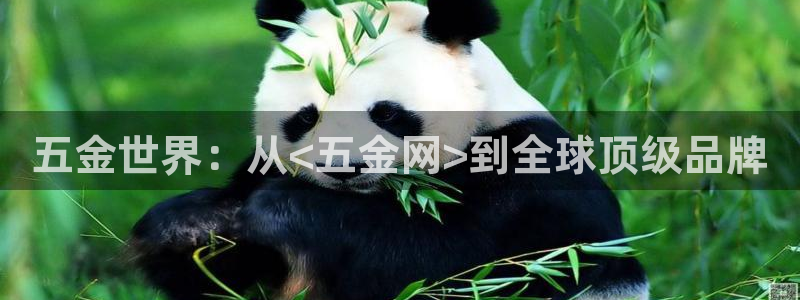 天狮娱乐b 判官是谁