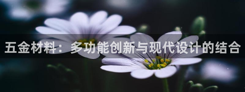 天狮娱乐内部主管