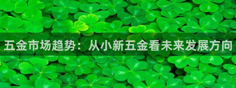 天狮娱乐36633股东