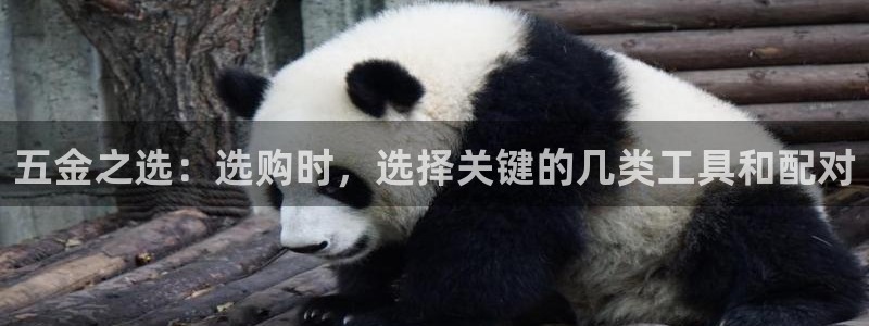 天狮娱乐指尖年