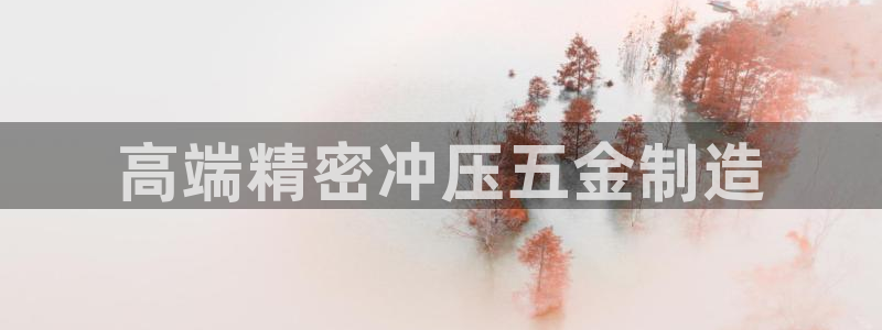 天狮娱乐谁在玩