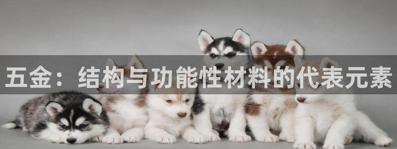 天狮娱乐怎么代理