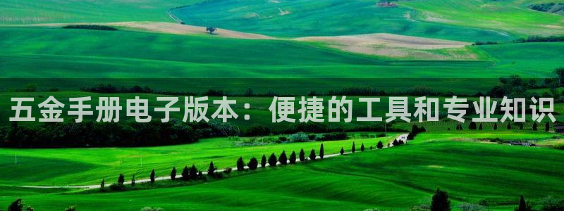 天狮娱乐84374 巅峰h