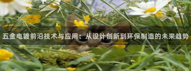 天狮娱乐 a主管60447