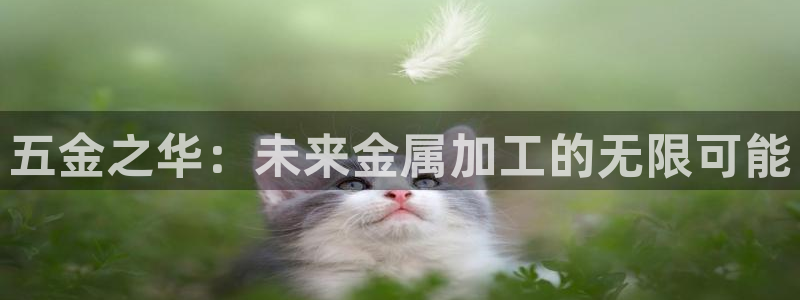 天狮娱乐股东代理