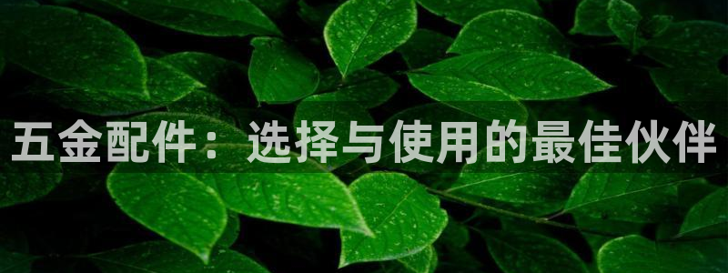 天狮娱乐下载