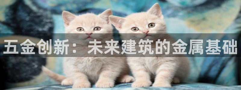 天狮娱乐 amp c主管20476