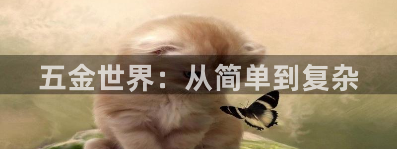 天狮娱乐指尖年