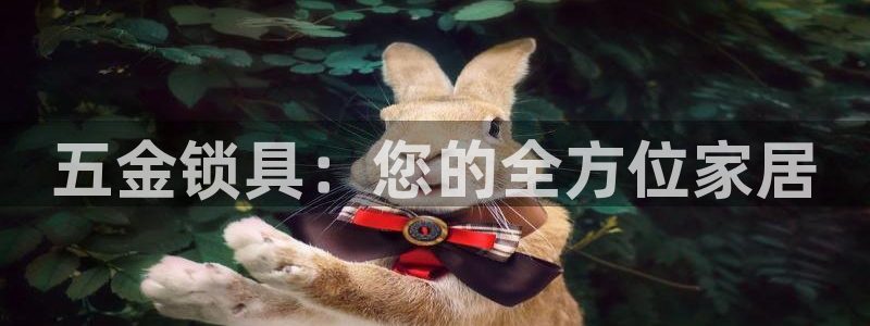 天狮娱乐怎么做