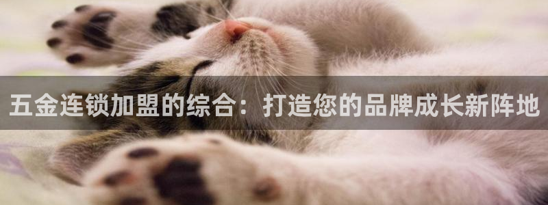 天狮娱乐c 判官