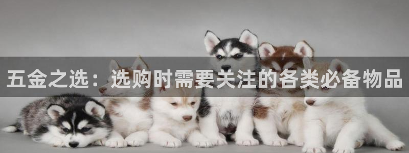 天狮娱乐工资