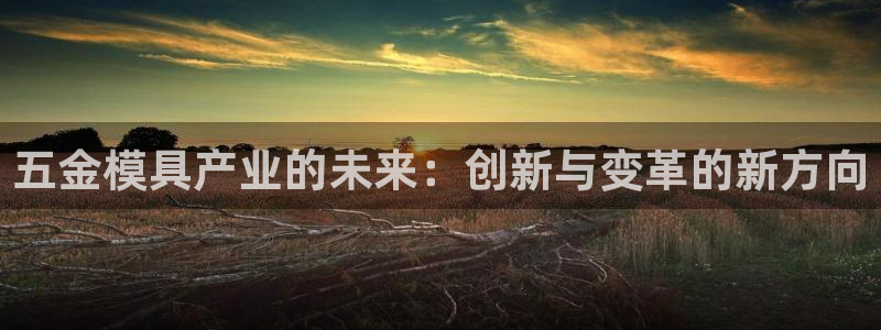 天狮娱乐扣扣29229