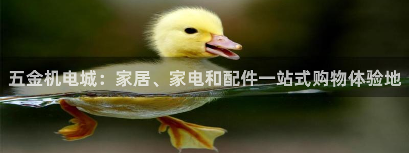 石家庄天狮娱乐会所