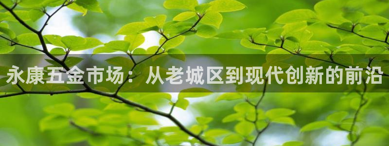天狮娱乐557448