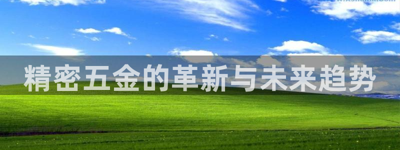 天狮娱乐强哥