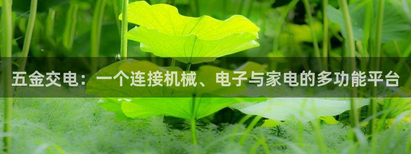 天狮娱乐腾讯分分彩