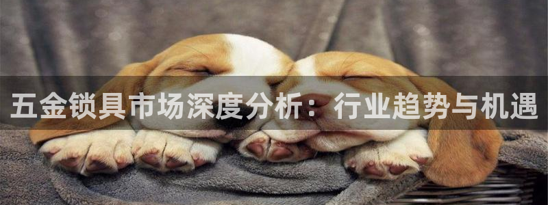 天狮娱乐- 招商