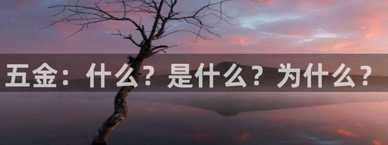 天狮娱乐反点啥意思