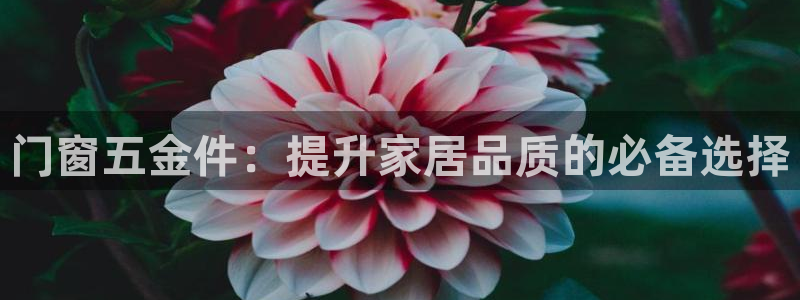 天狮娱乐专线