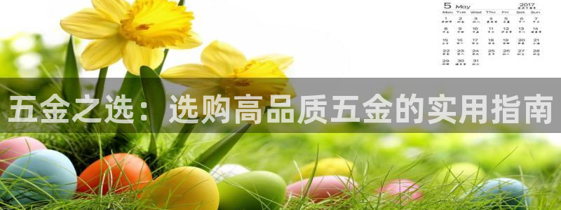 天狮娱乐丶品rd01 vip